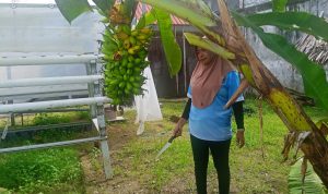 IMG-20260704-WA0023